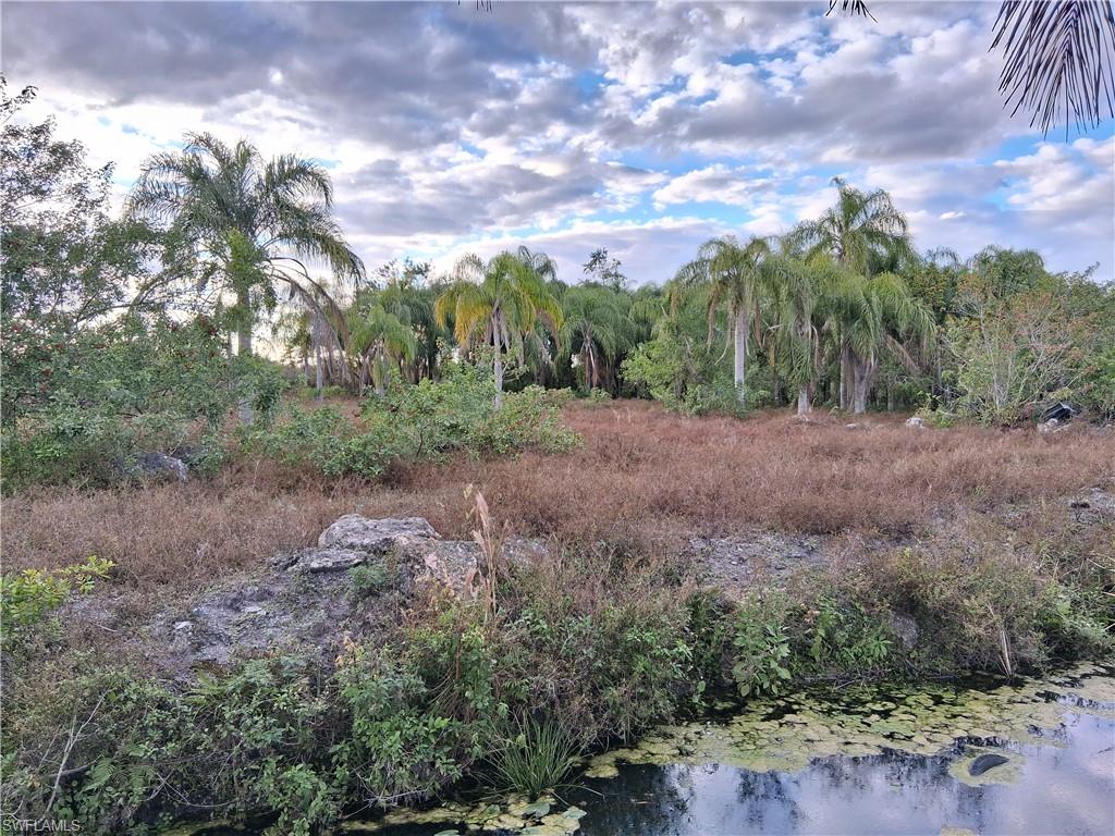 CLEWISTON - Residential