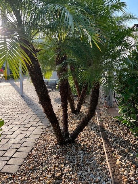 CYPRESS TRAIL RV RESORT - Land