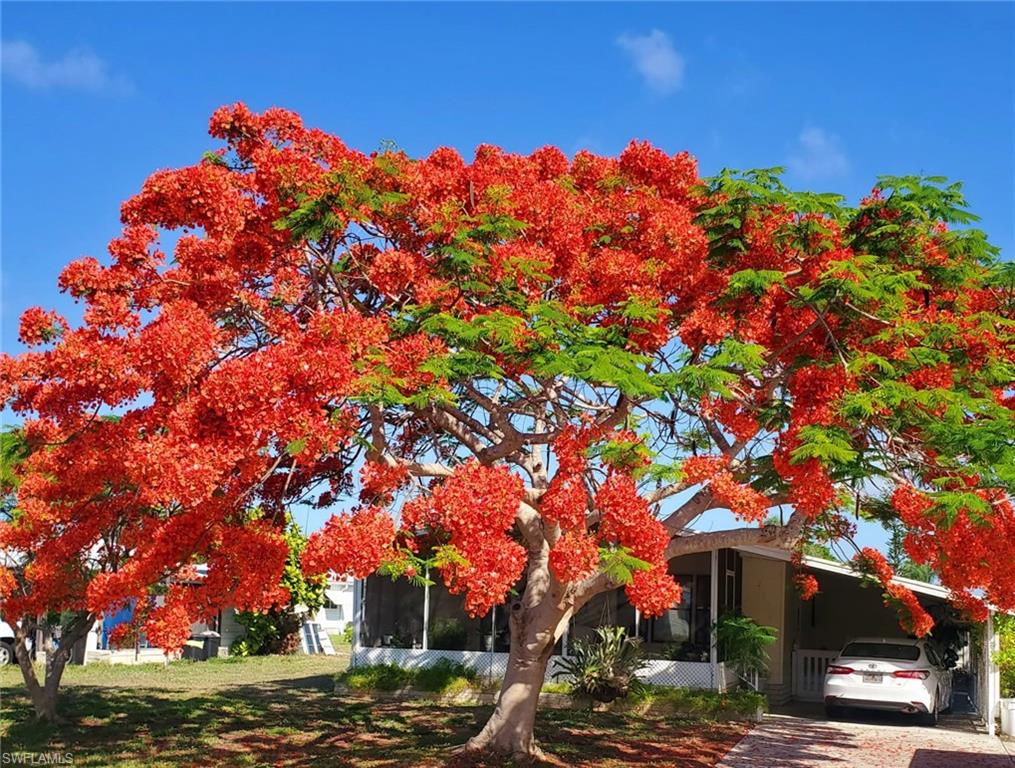 IMPERIAL HARBOR - Residential