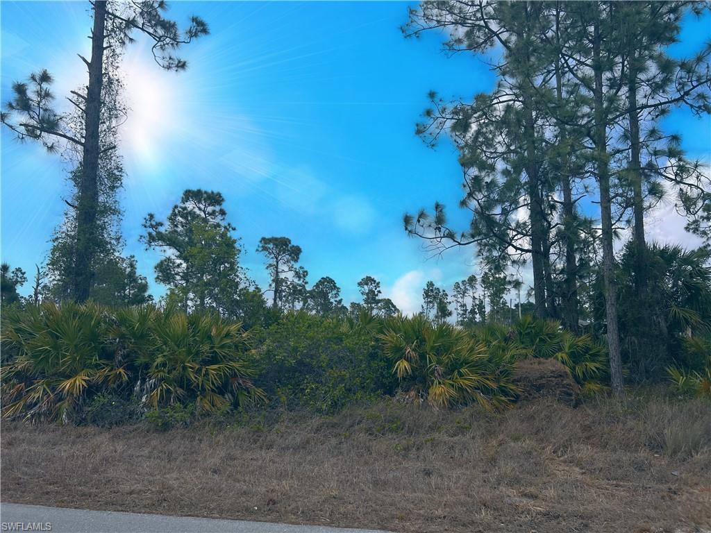 ISLAND OF HAPPINESS - Land