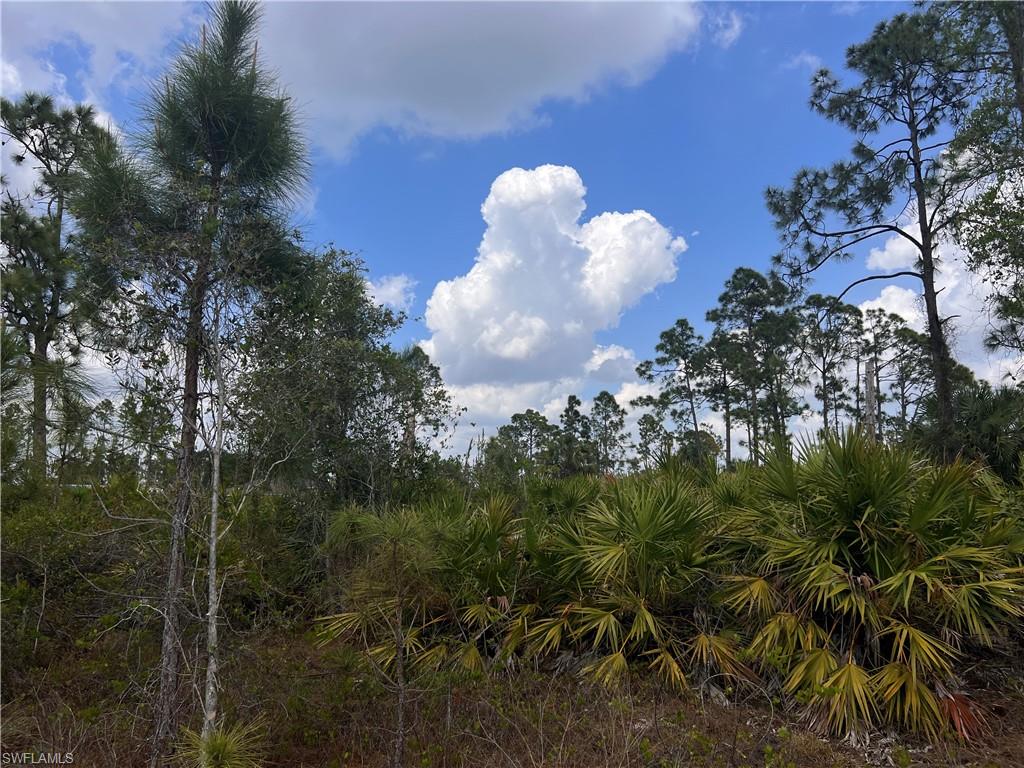 ISLAND OF HAPPINESS - Land