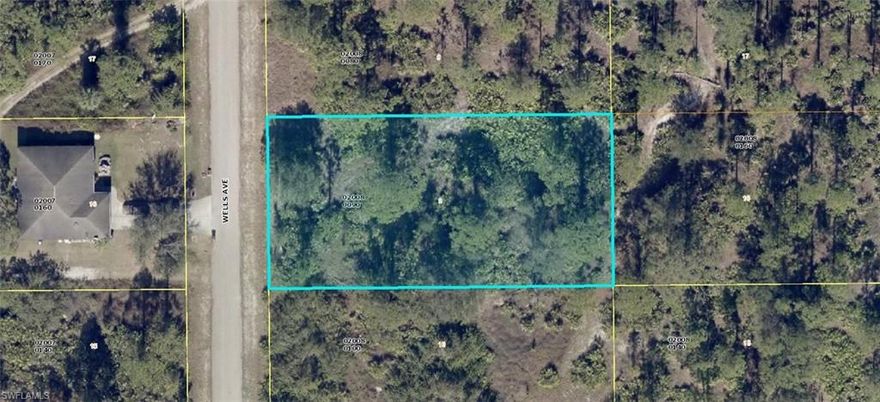 Beautiful 1/2 acre lot in NE Lehigh.  This location offers fast access to Palm Beach Blvd. and I-75.  Build your dream home or your real estate investment portfolio.  Come enjoy the sun and weather, Fort Myers nightlife, and our beaches.