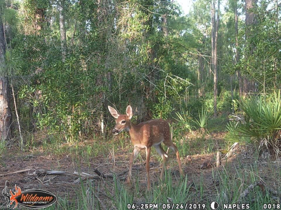 REFLECTION LAKES - Residential