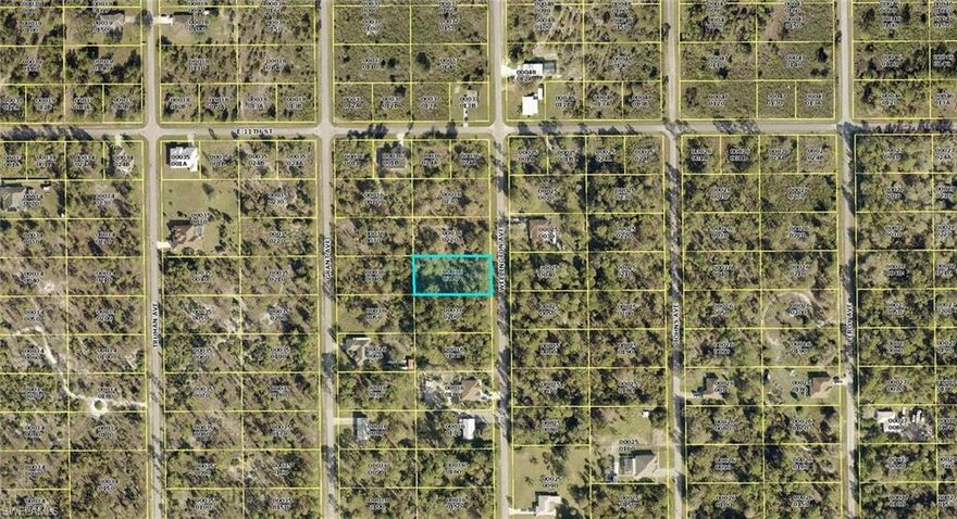 This 1/2 acre lot offers a quiet county lifestyle, while still being close to Joel Blvd and Lee Blvd for easy access to Fort Myers.  Great opportunity for a larger yard in the prettiest part of Lehigh Acres.