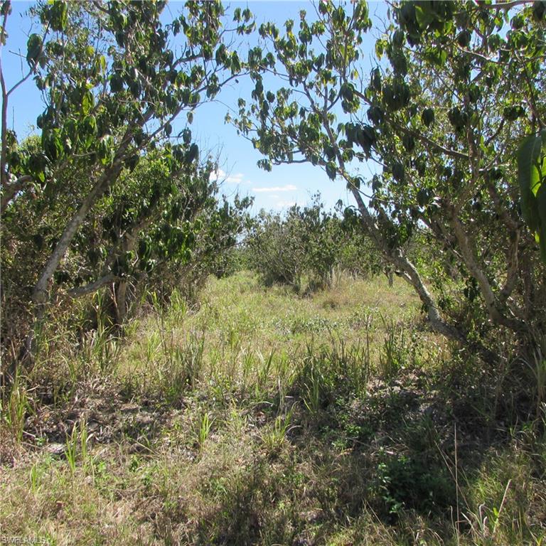 KREAMERS SUBD - Land