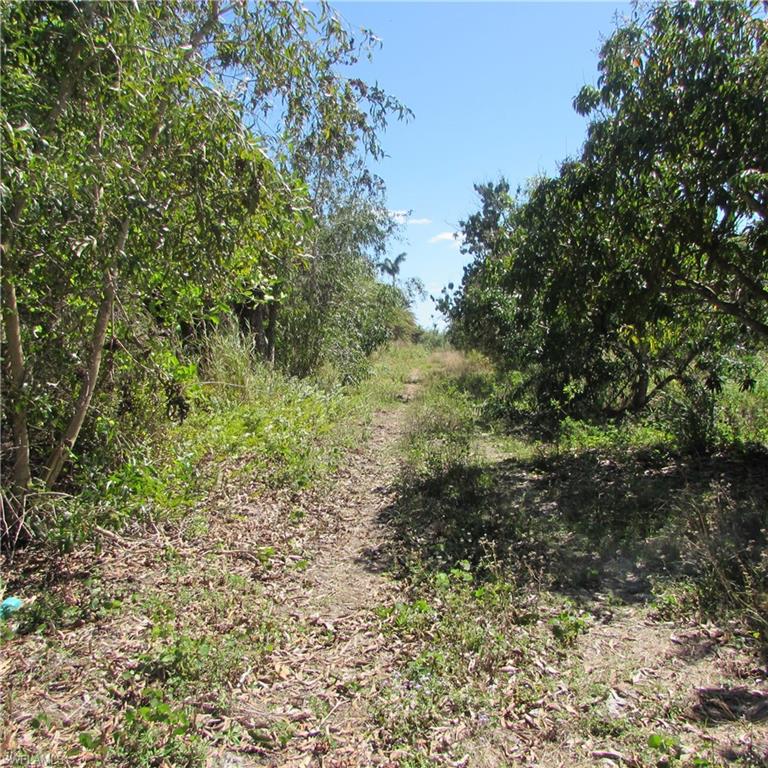 KREAMERS SUBD - Land