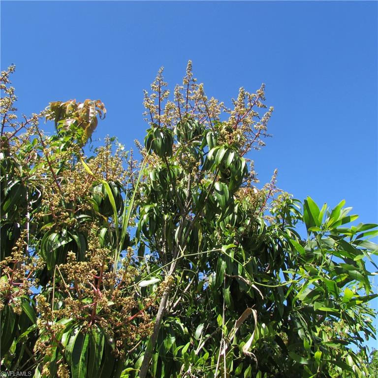 KREAMERS SUBD - Land