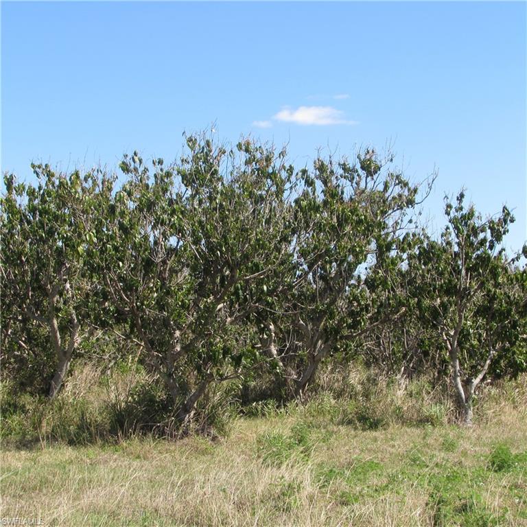 KREAMERS SUBD - Land