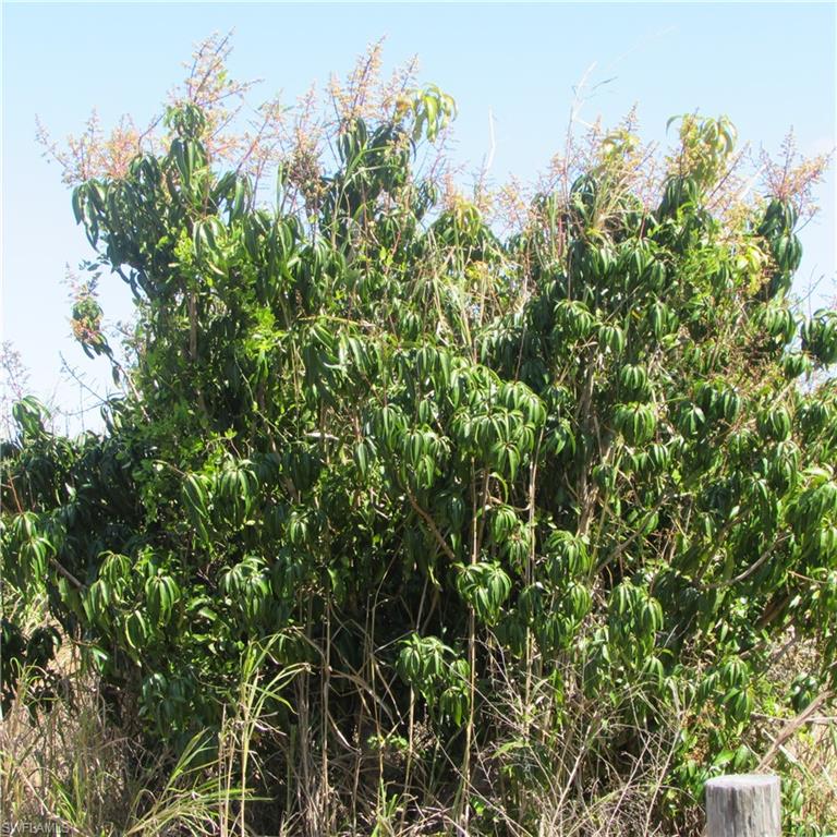 KREAMERS SUBD - Land