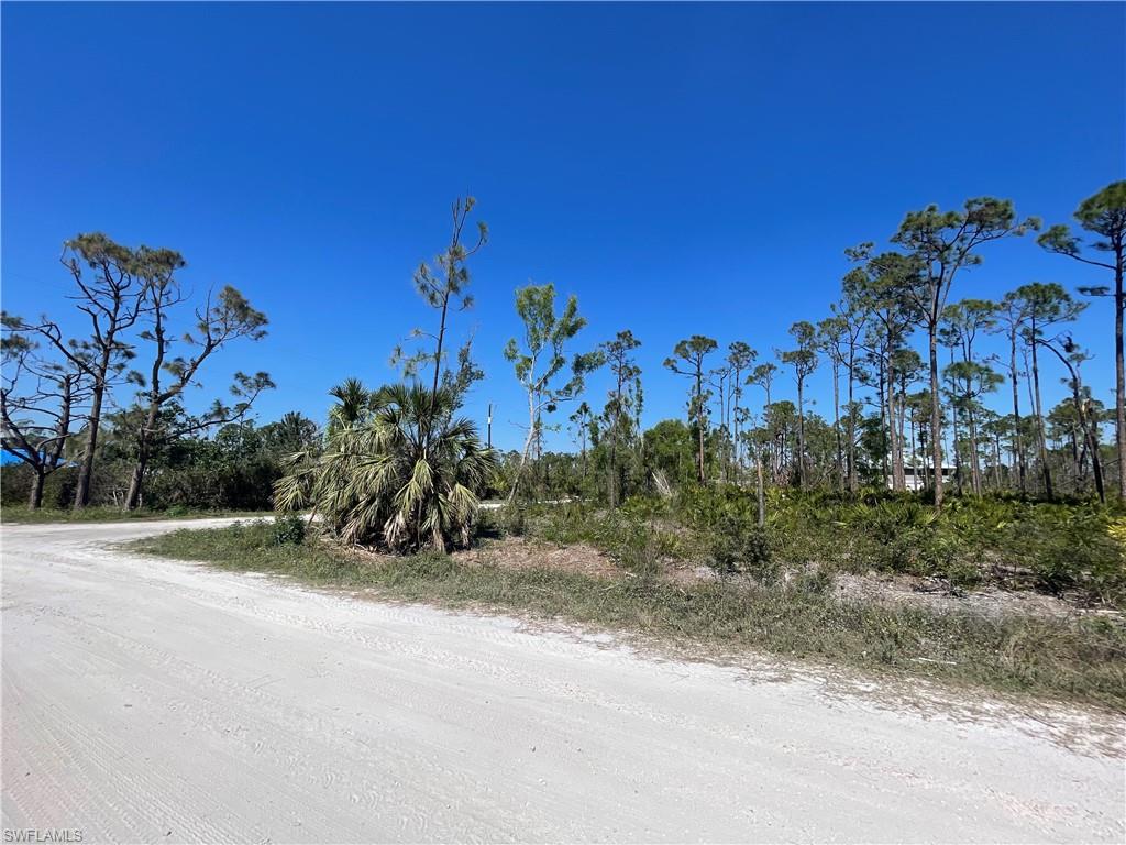 NOT APPLICABLE - Land