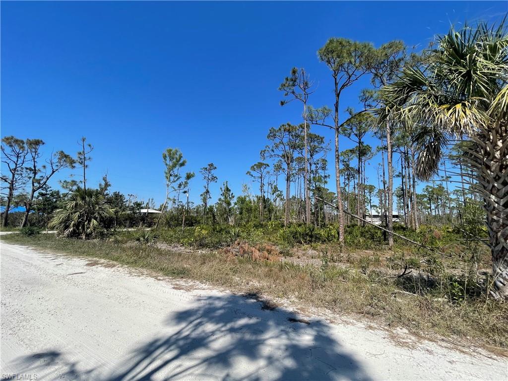 NOT APPLICABLE - Land