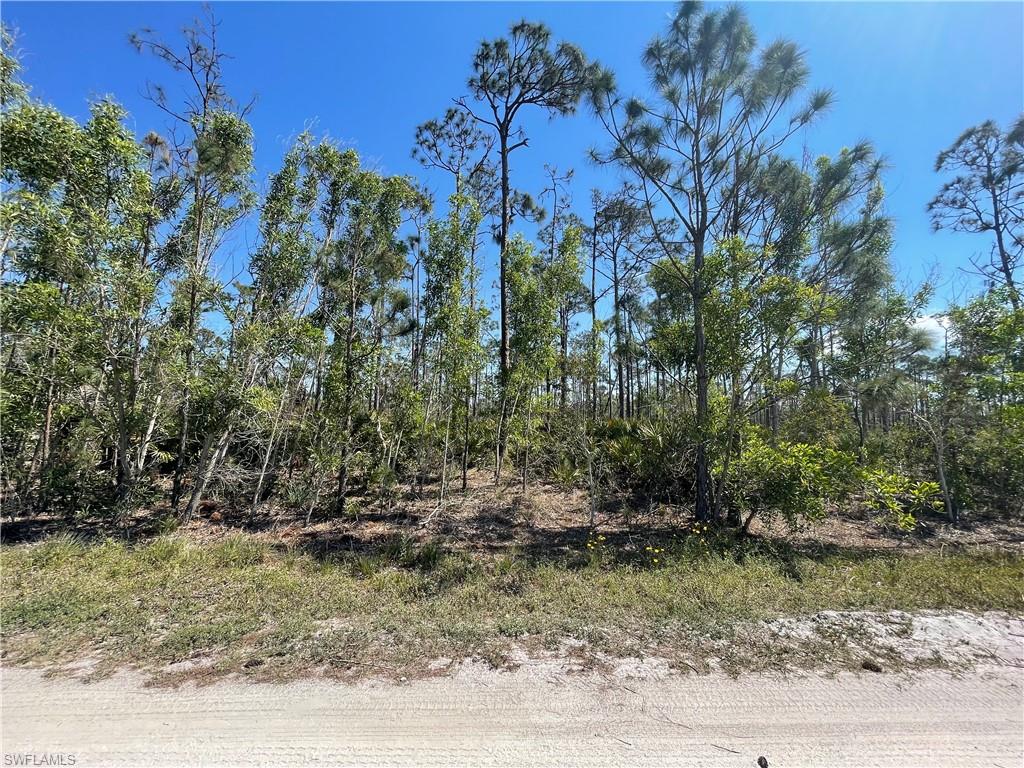 NOT APPLICABLE - Land