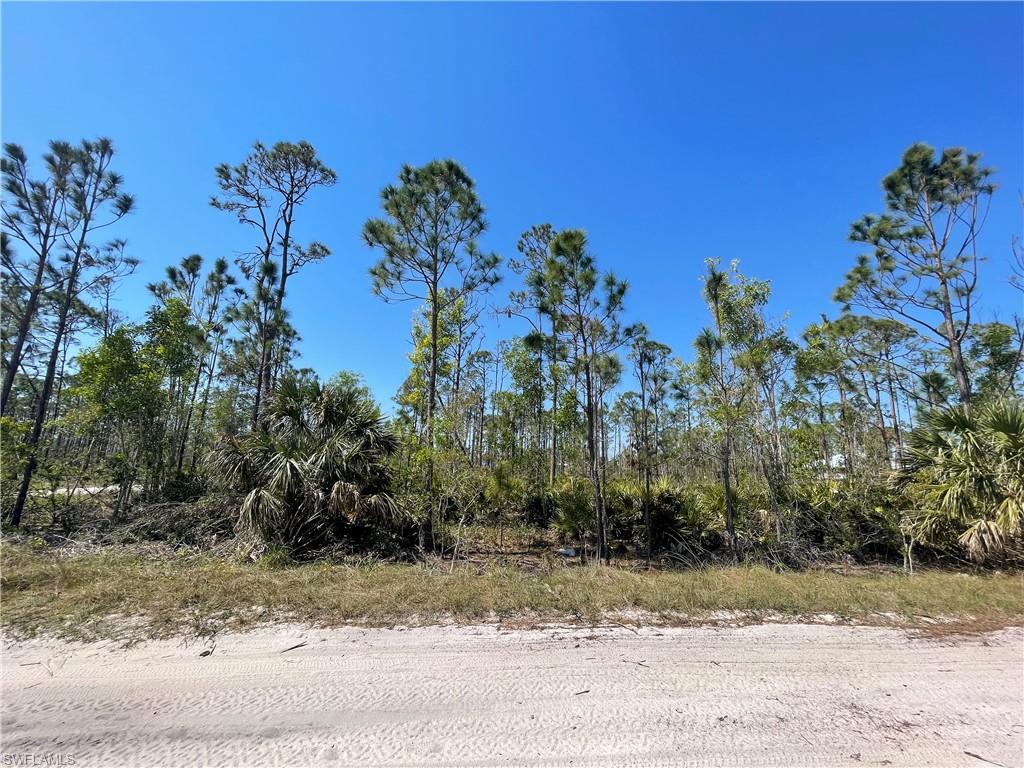 NOT APPLICABLE - Land