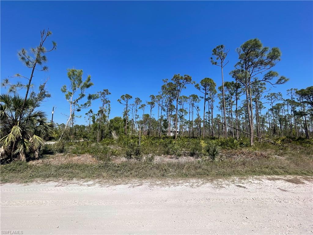 NOT APPLICABLE - Land