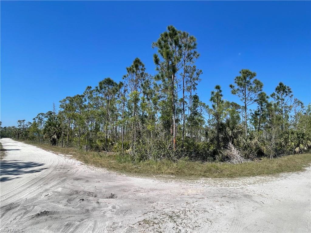 NOT APPLICABLE - Land