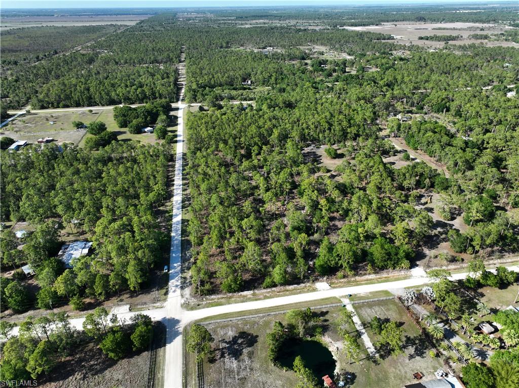 PIONEER PLANTATION - Land