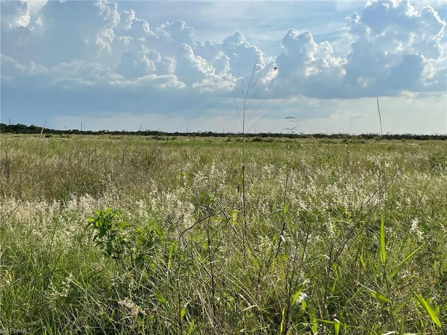 33.1 +/- acre property with more available. Approximately 20 acres at the east end of 6th Road has been cleared, the rest is older/dead grove that can be cleared easily. Canal at the south end of the property can be used for irrigation. This property is zoned Ag-2, which allows for residential use in addition to agriculture. Besides citrus, there are many small farms in the area growing row crops and tropical fruit (lychee, mango, dragon fruit, passion fruit, etc.). Approximately 1 hour from RSW and 45 minutes from I-75 access, both southbound to Miami via SR 29 in Immokalee or northbound via SR 80 in Fort Myers. Property is in the Gerber Water District and subject to the Water District tax which is collected by the Hendry County Tax Collector and is used to maintain the roads, canals, and employ security. The roads are private and monitored by a security guard to prevent trespassing.