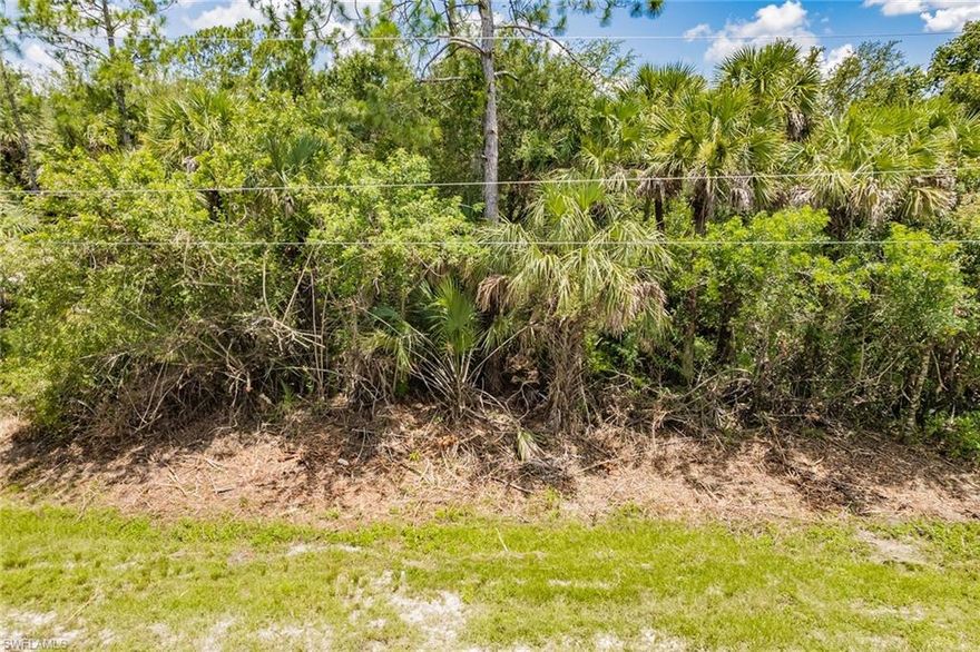Build your dream home on this large lot in Golden Gate Estates, 2.27 acres. One of Naples’ fastest growing areas offering all the restaurants, shopping and recreational centers to meet all desires. Grab this opportunity for your piece of paradise!