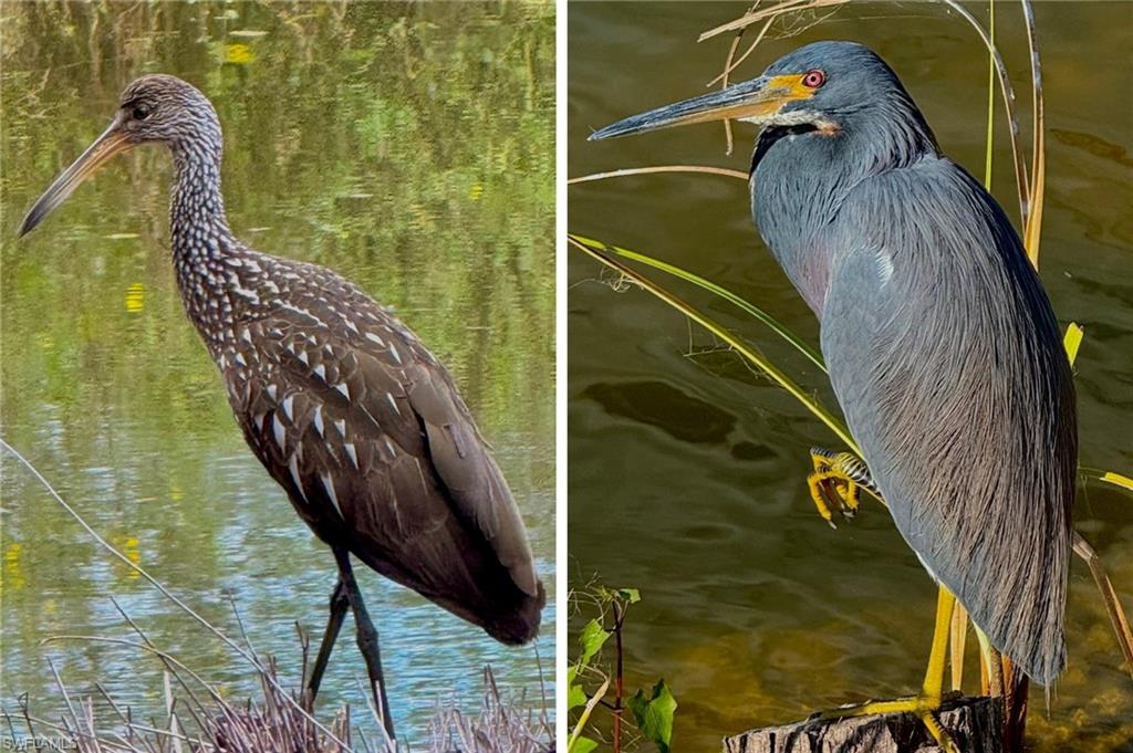 EAGLE RIDGE - Residential