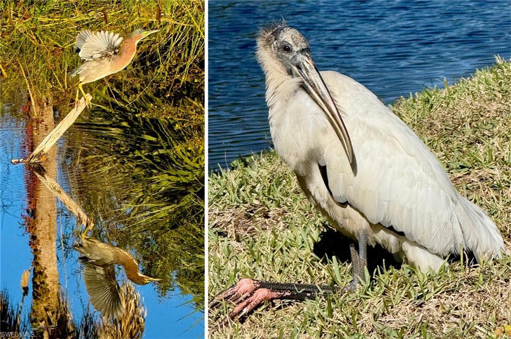 EAGLE RIDGE - Residential