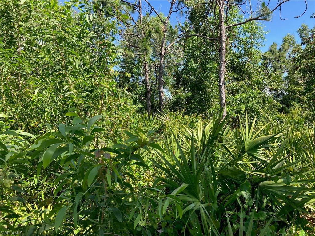 PINE ISLAND RIDGE - Land