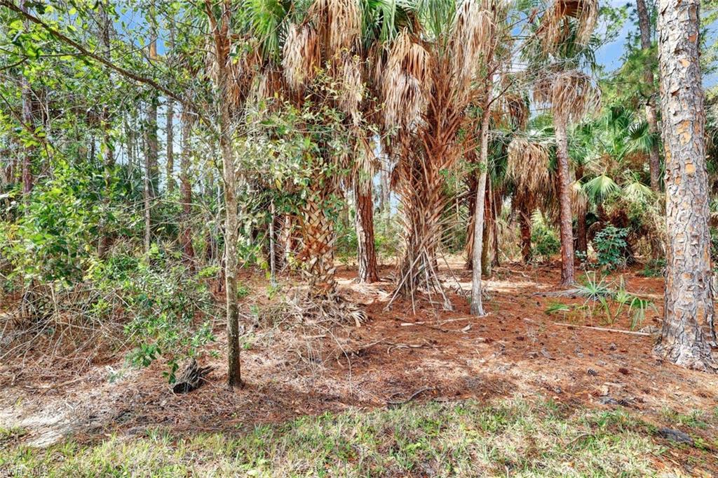 THE SANCTUARY - Residential