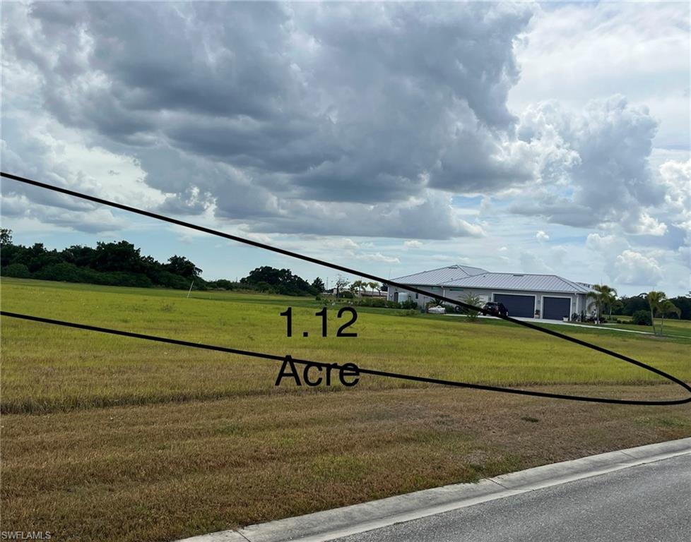22776 Yellow Button LN