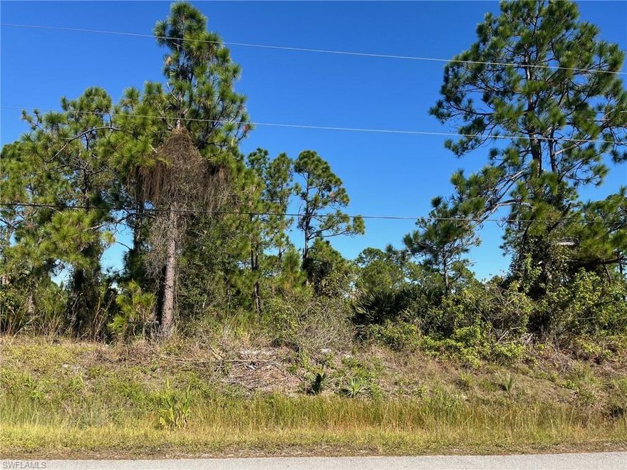 Enjoy the peaceful, country lifestyle of Golden Gate Estates, just minutes from the splendor and beautiful beaches of Naples, Florida. Build the home of your dreams on this fantastic 2.73 acre property with beautiful pine trees. Property is large enough for a guest house or stables. Zoning allows 2 horses per acre. Location convenient to schools, shopping and parks. DEP Wetland Determination attached indicates all uplands with the exception of one old agricultural ditch which will not require environmental permits to fill.