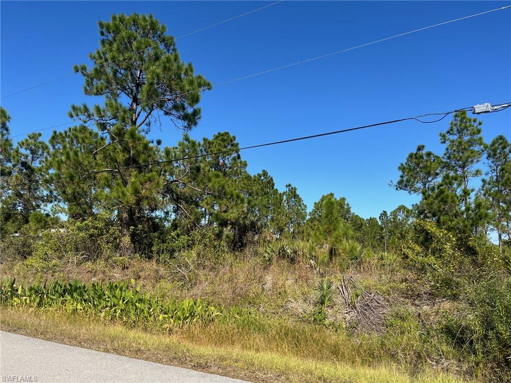 GOLDEN GATE ESTATES - Land