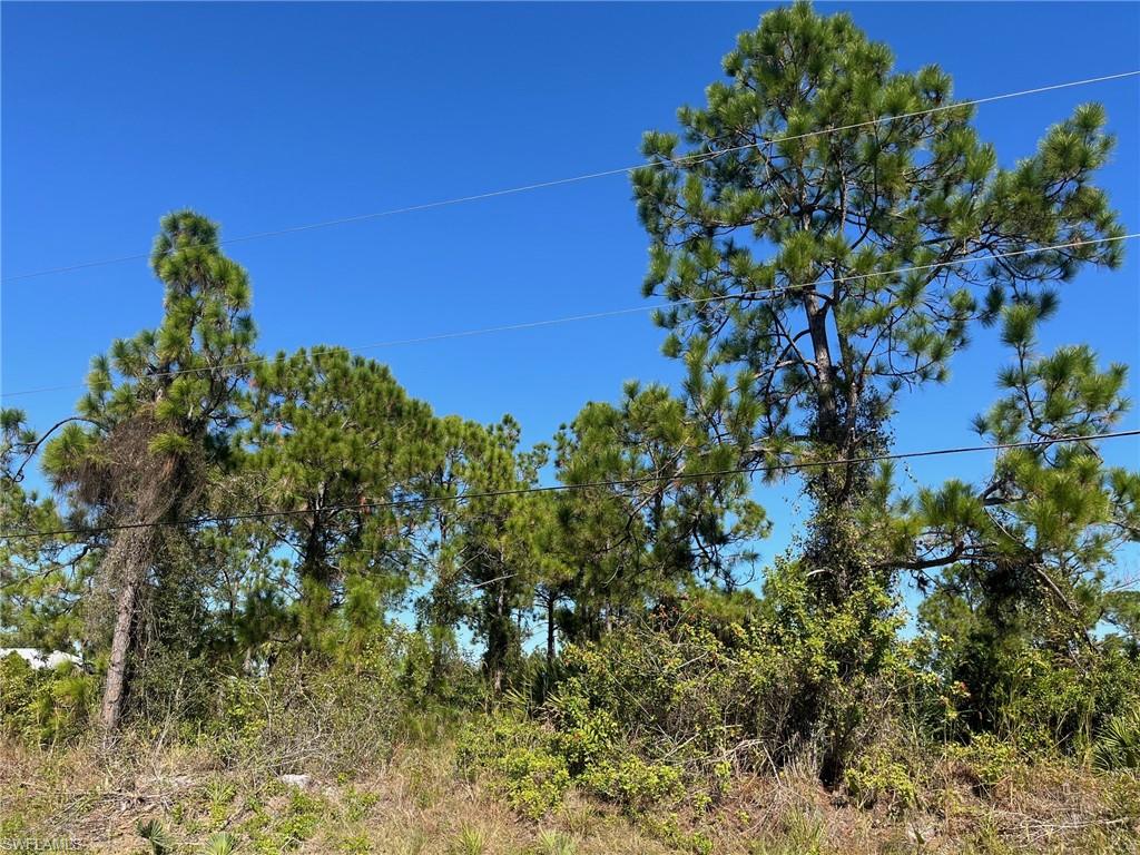 GOLDEN GATE ESTATES - Land