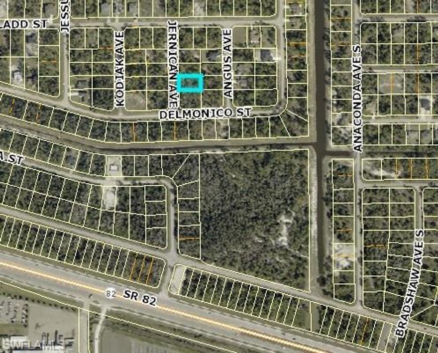 Excellent opportunity to own a well-located 0.25-acres lot in the rapidly growing area of Lehigh Acres. Conveniently situated near SR 82, providing easy access to Fort Myers and surrounding areas. This property is in a desirable location with ongoing development and new construction nearby. Don’t miss your chance to invest in one of Southwest Florida’s fastest-growing communities—secure your lot today!