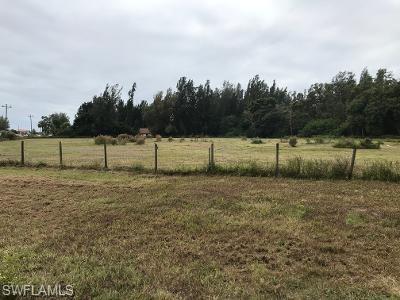 CAPE CORAL - Commercial Sale