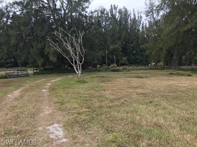 CAPE CORAL - Commercial Sale