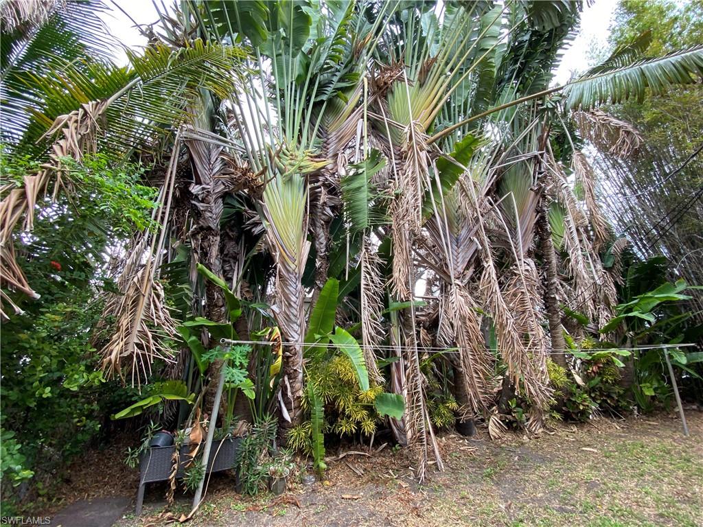 BISCAYNE APTS - Residential Lease