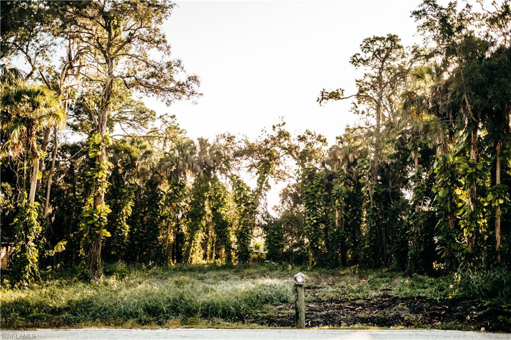 FORT MYERS SHORES - Land