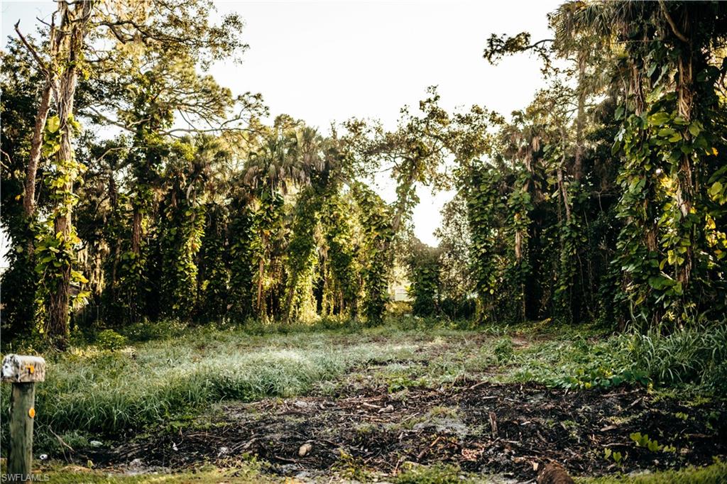 FORT MYERS SHORES - Land