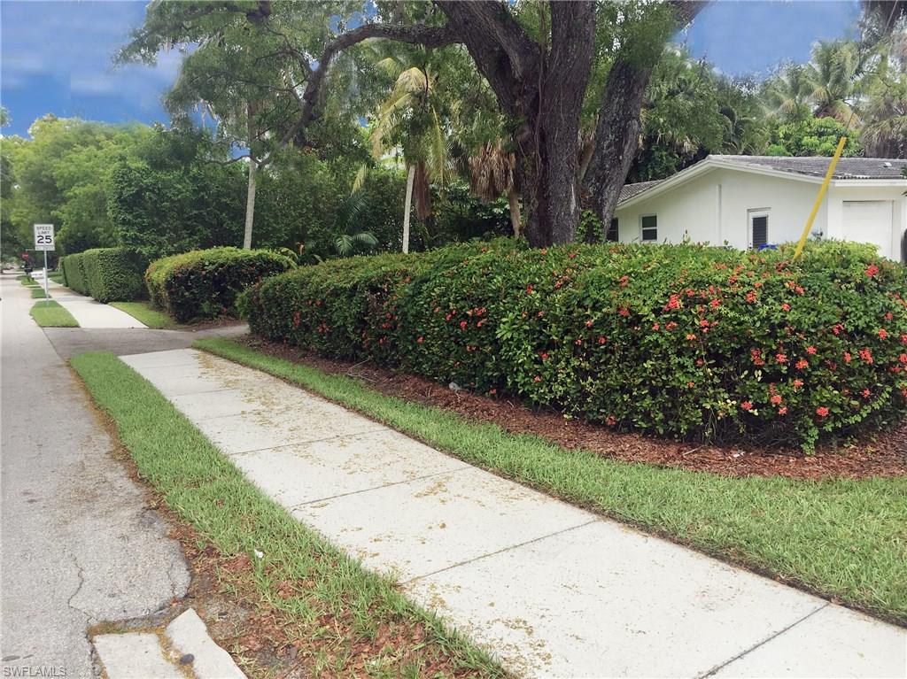 OLDE NAPLES - Residential