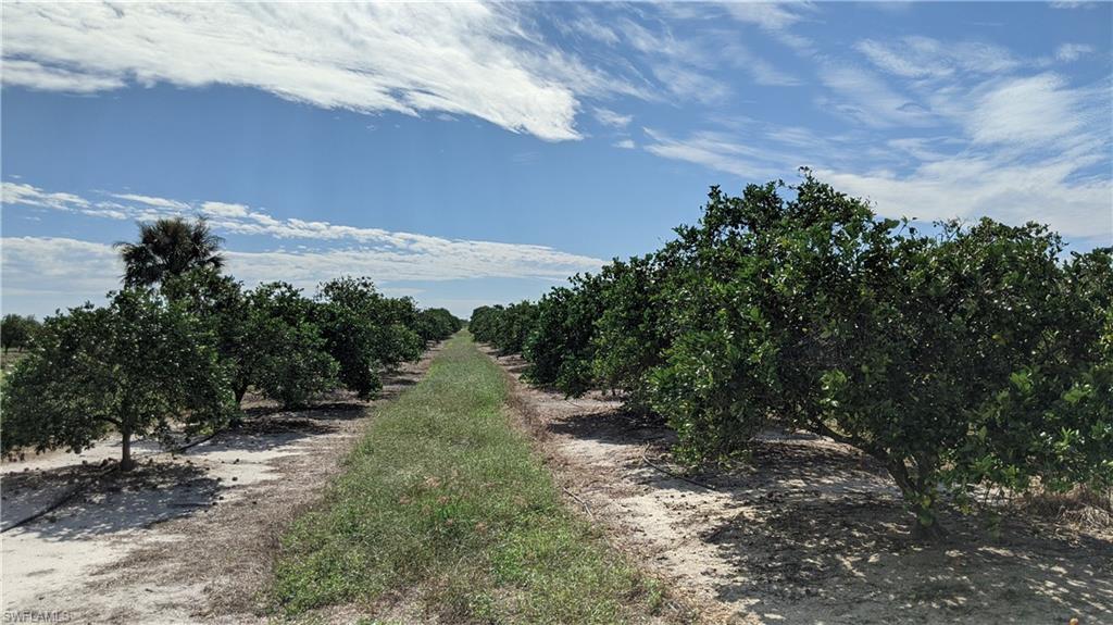 GERBER GROVES SEC 1 - Land