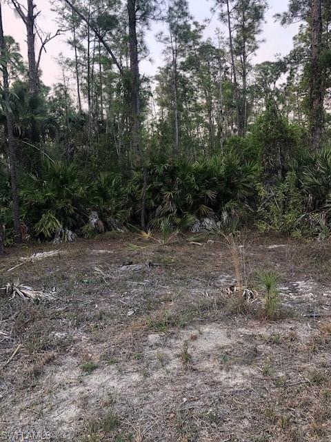 GOLDEN GATE ESTATES - Land