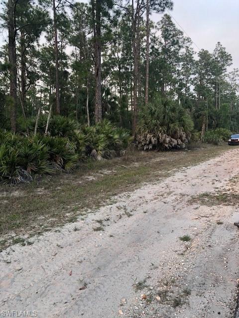 GOLDEN GATE ESTATES - Land