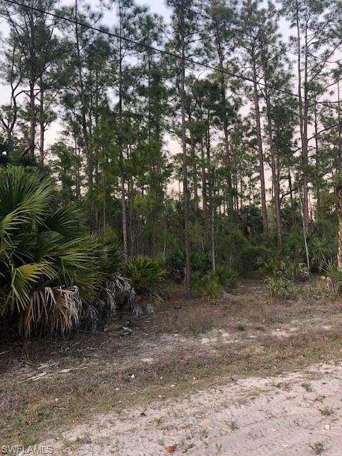 GOLDEN GATE ESTATES - Land