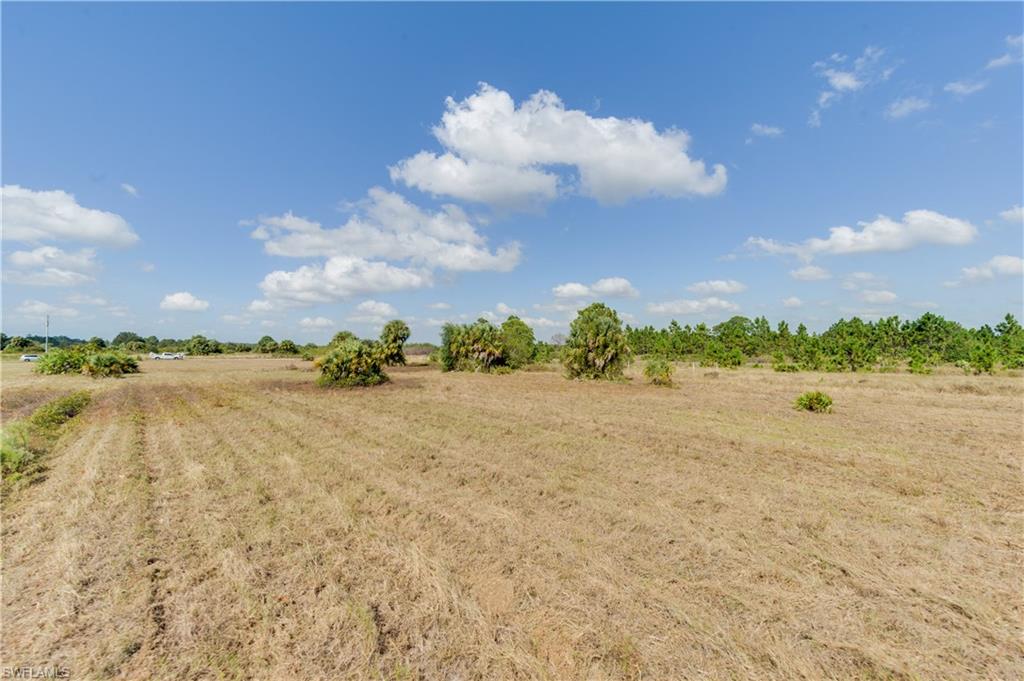 GOLDEN GATE ESTATES - Land