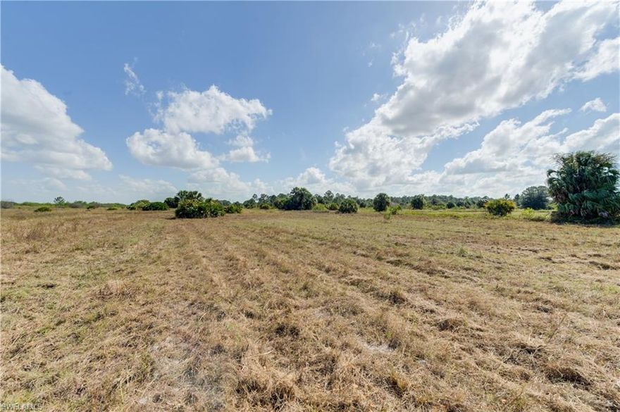 Don’t miss this opportunity to build your dream house on this 2.274 piece of paradise located off of Immokalee Road, close to the Collier County Fairgrounds, UF IFAS Extension, Bird Sanctuary, new Publix Plaza and just east of Twin Eagles subdivision.   Land is high and dry with sandy soil. Not much clearing needs to be done, lot is located at the end of short, dead end street with quick access to schools and other conveniences.