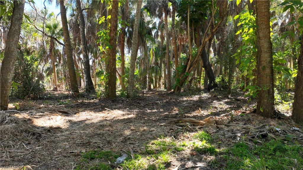 NORTH FORT MYERS - Land