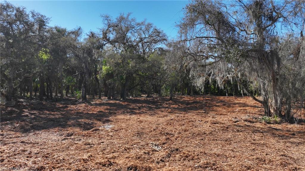 NORTH FORT MYERS - Land