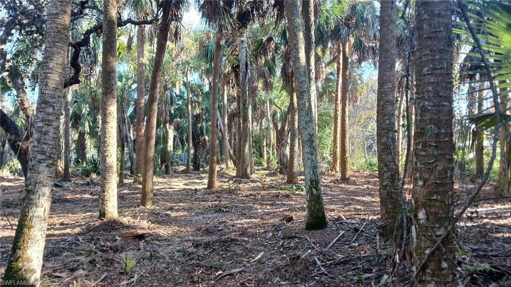 NORTH FORT MYERS - Land