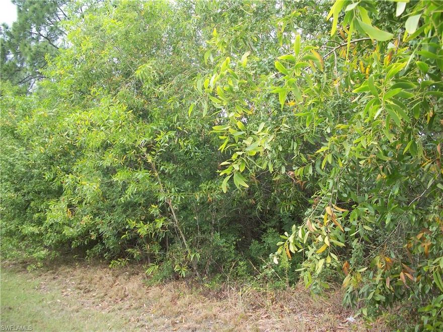 Paved road property with beautiful trees close to the Club House, Excellent property and great for a retreat here in the interior away from the coast, storms and big cities.