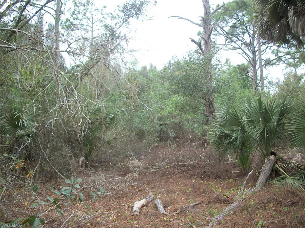 MONTURA RANCH ESTATES - Land