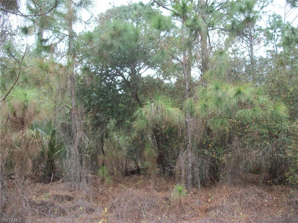 MONTURA RANCH ESTATES - Land