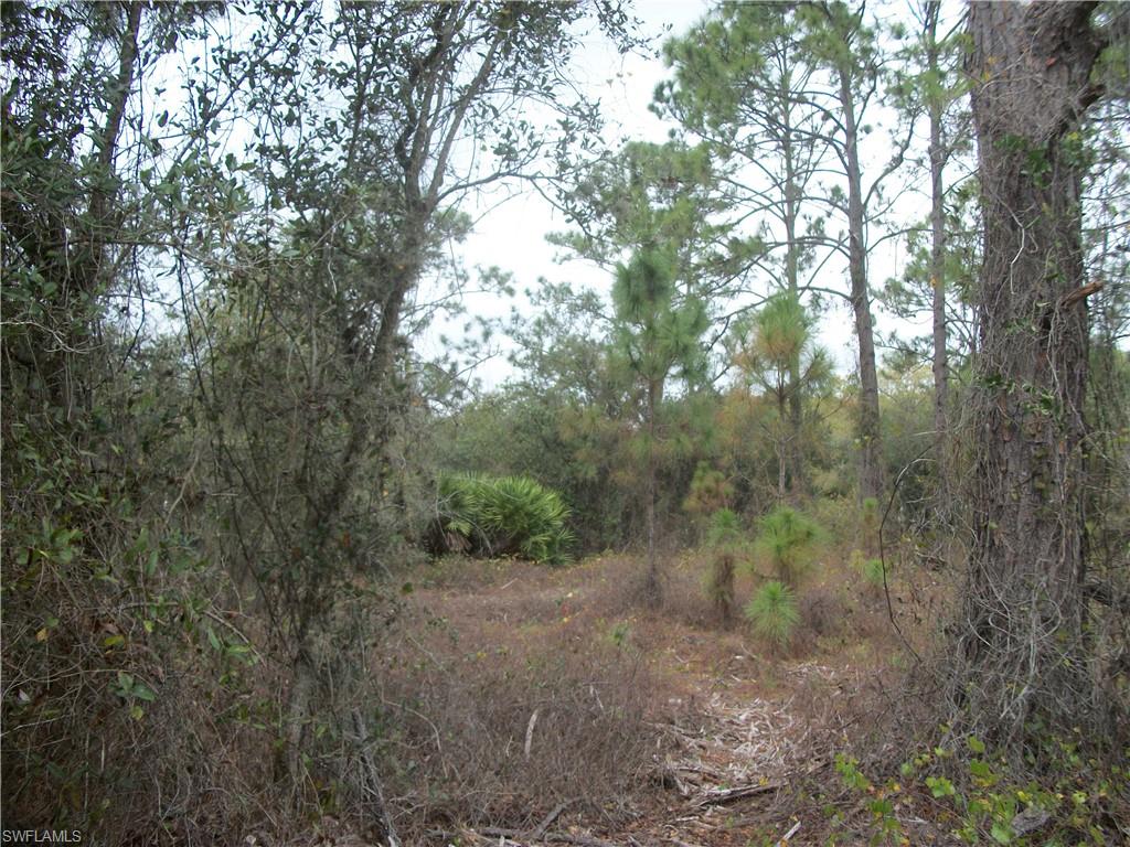 MONTURA RANCH ESTATES - Land